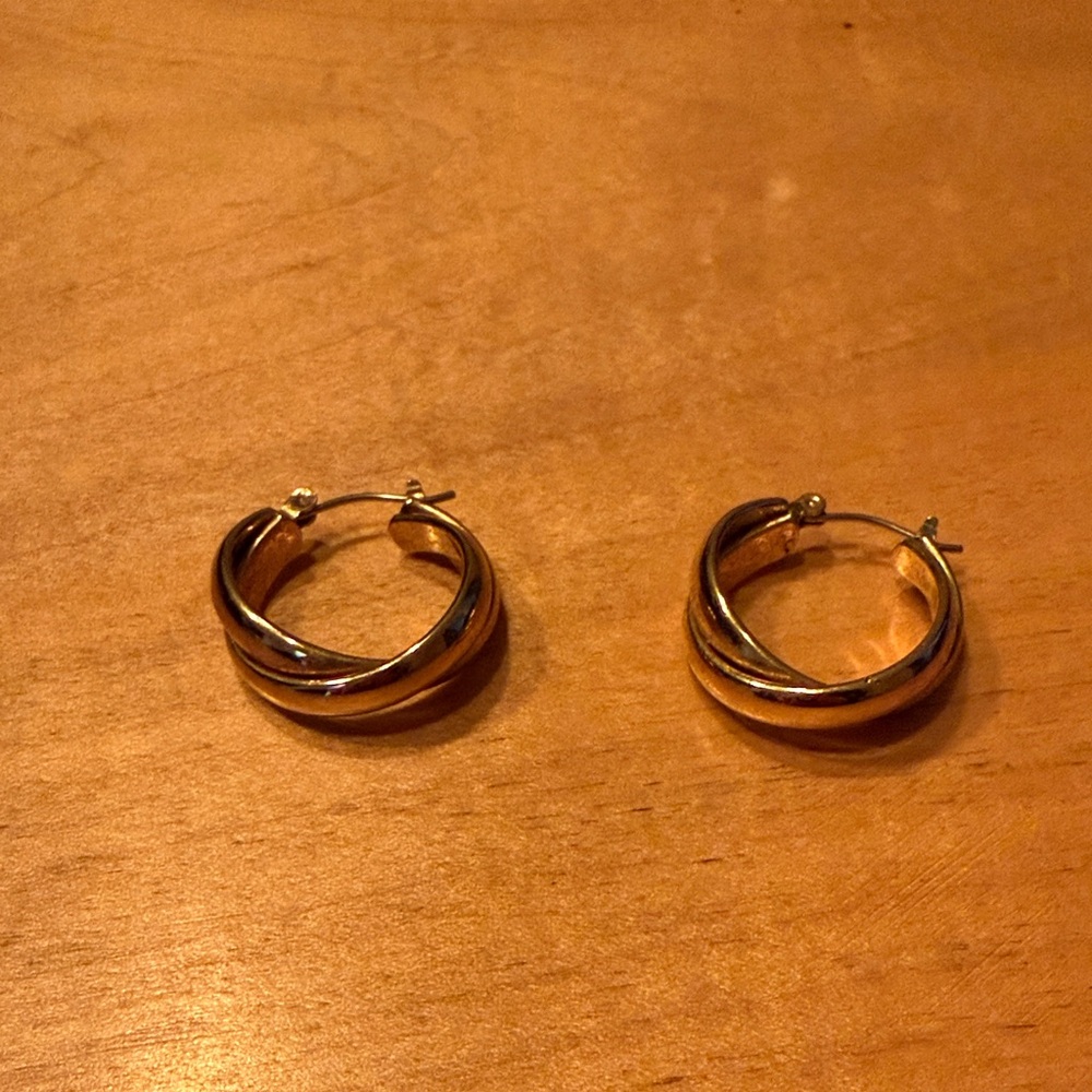 Elegant Gold Hoop Earrings